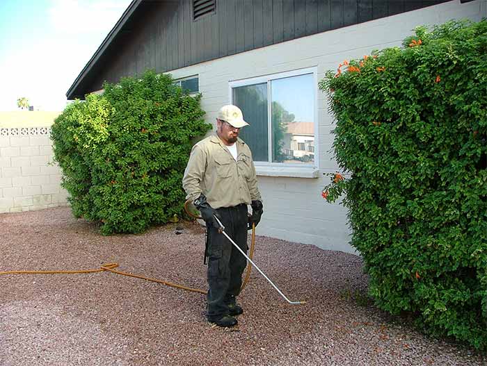 Weed Spraying Services in Mesa, AZ