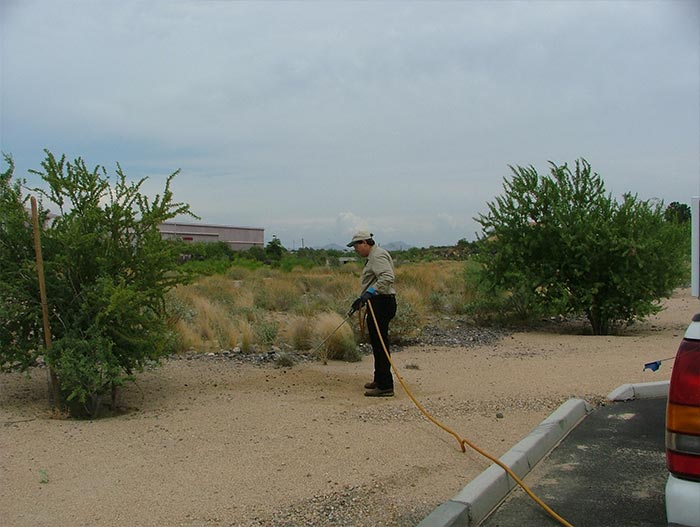 Weed Spraying Services In Mesa AZ