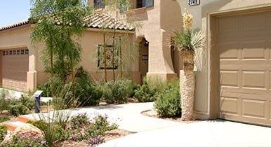 Weed outside the house - Weed Control and Prevention Services in Glendale, AZ