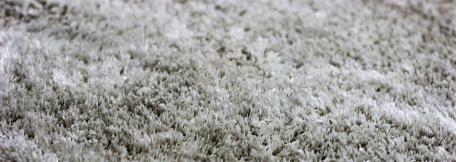 Picture of a carpet. 