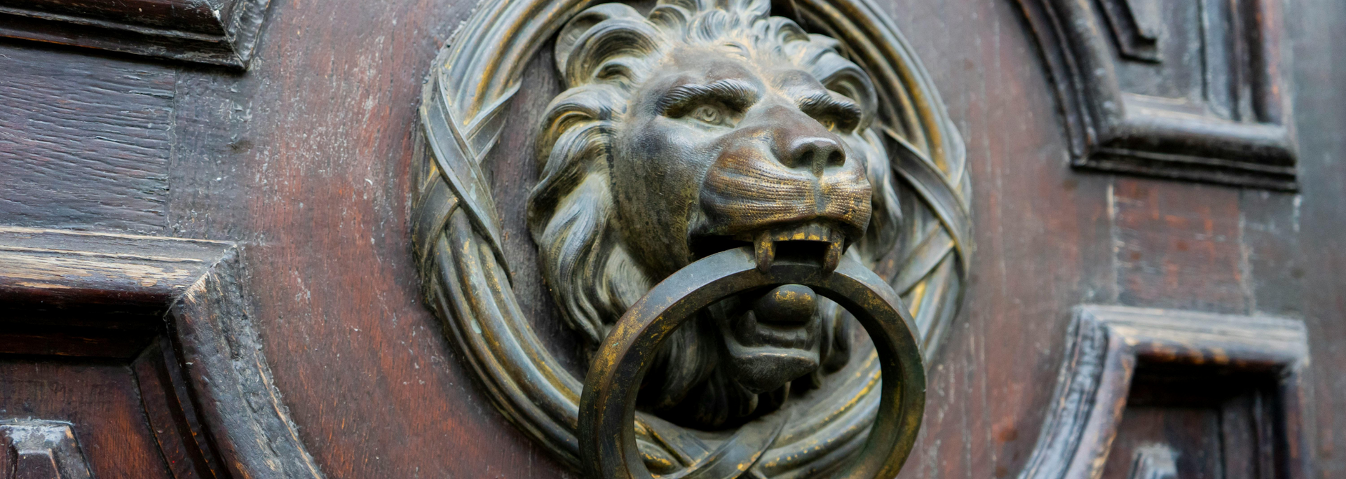 Picture of a bronze knocker in the shape of a lion's head.