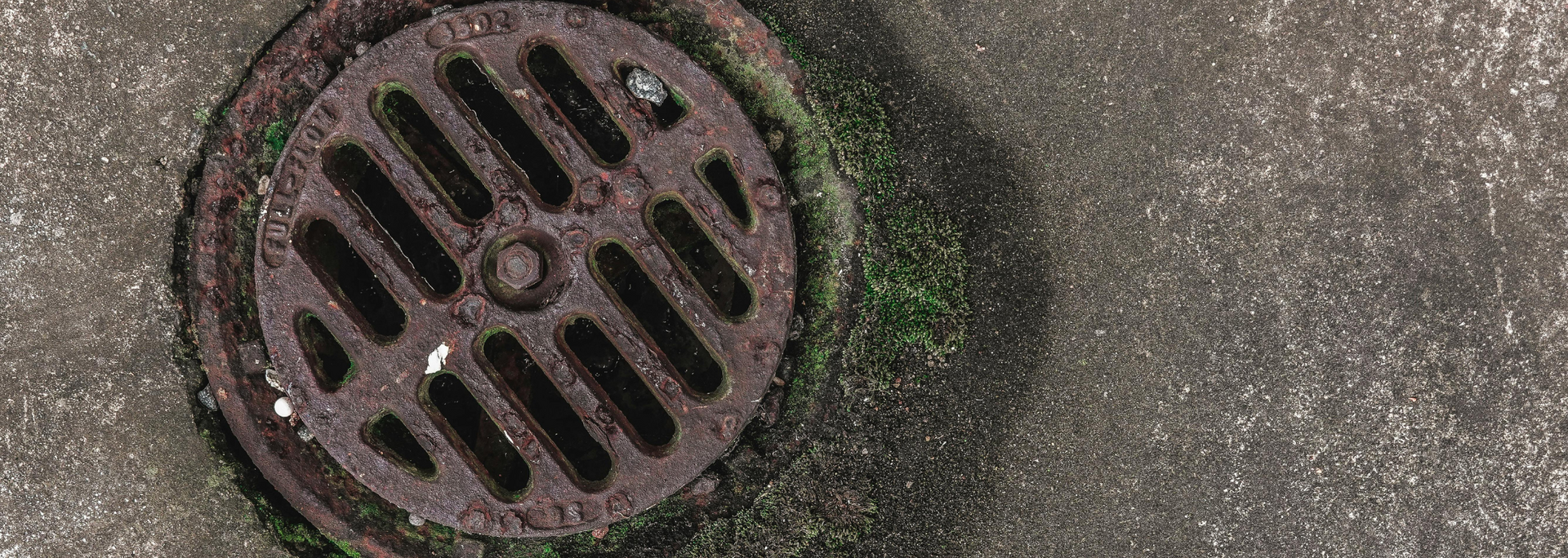 Picture of a drain on a residential property.