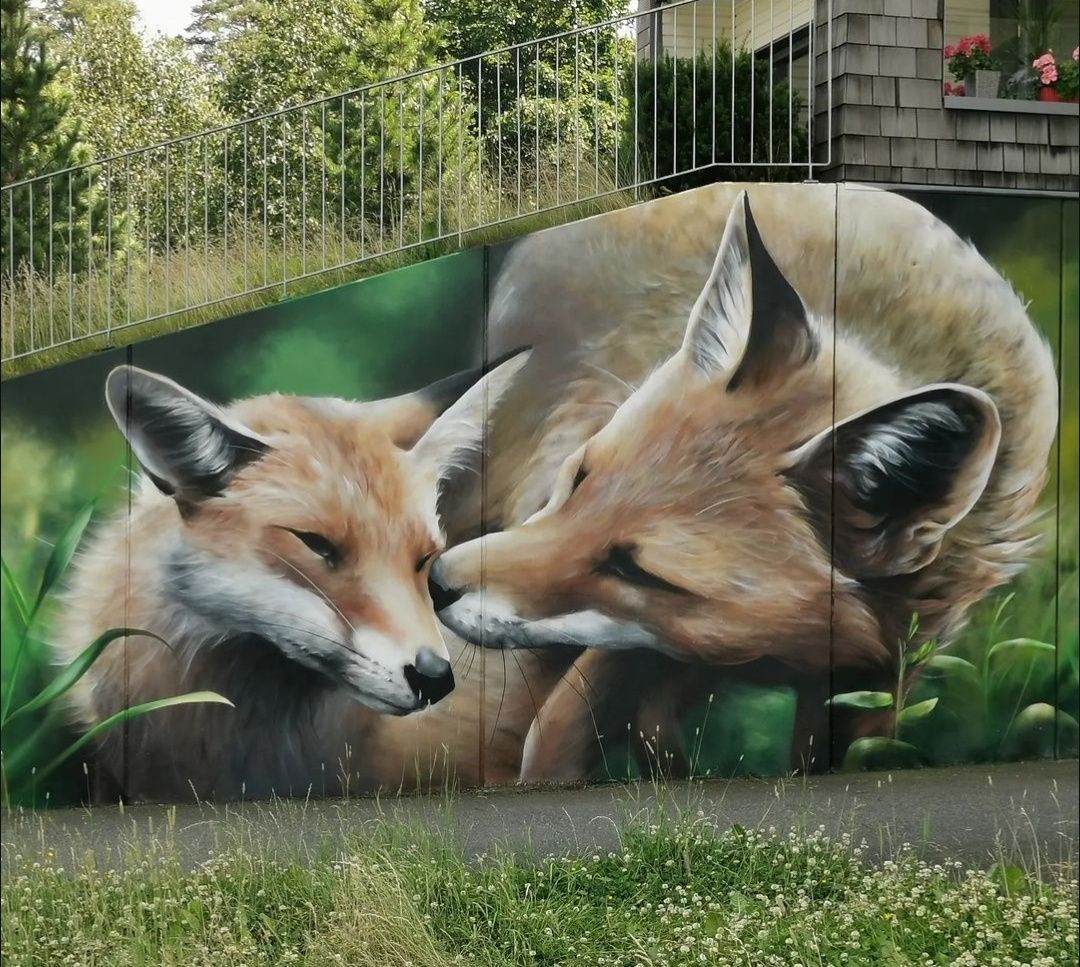 rävar på sidan av betongtrappa