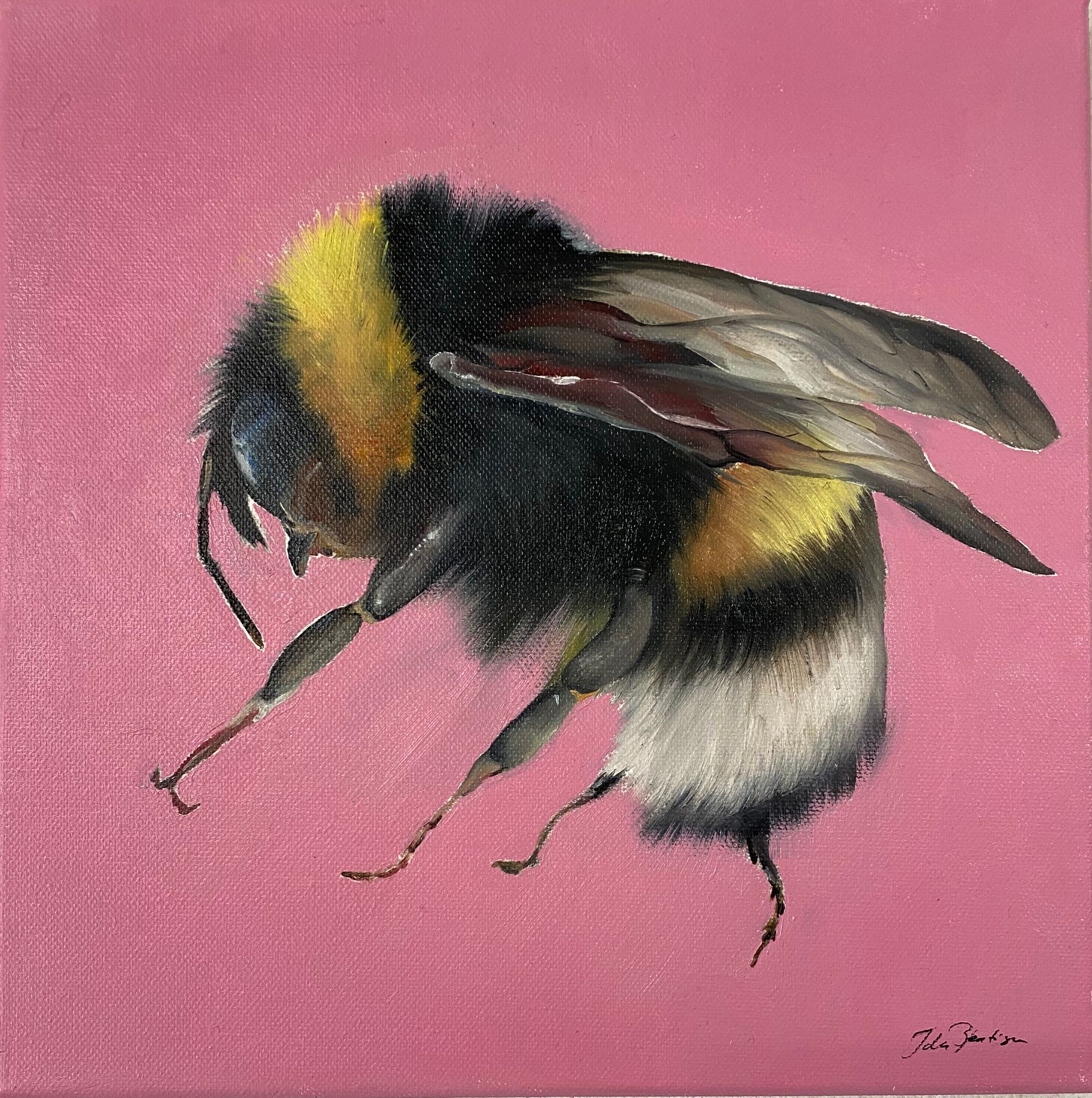 målning av humla, Ida Bentinger