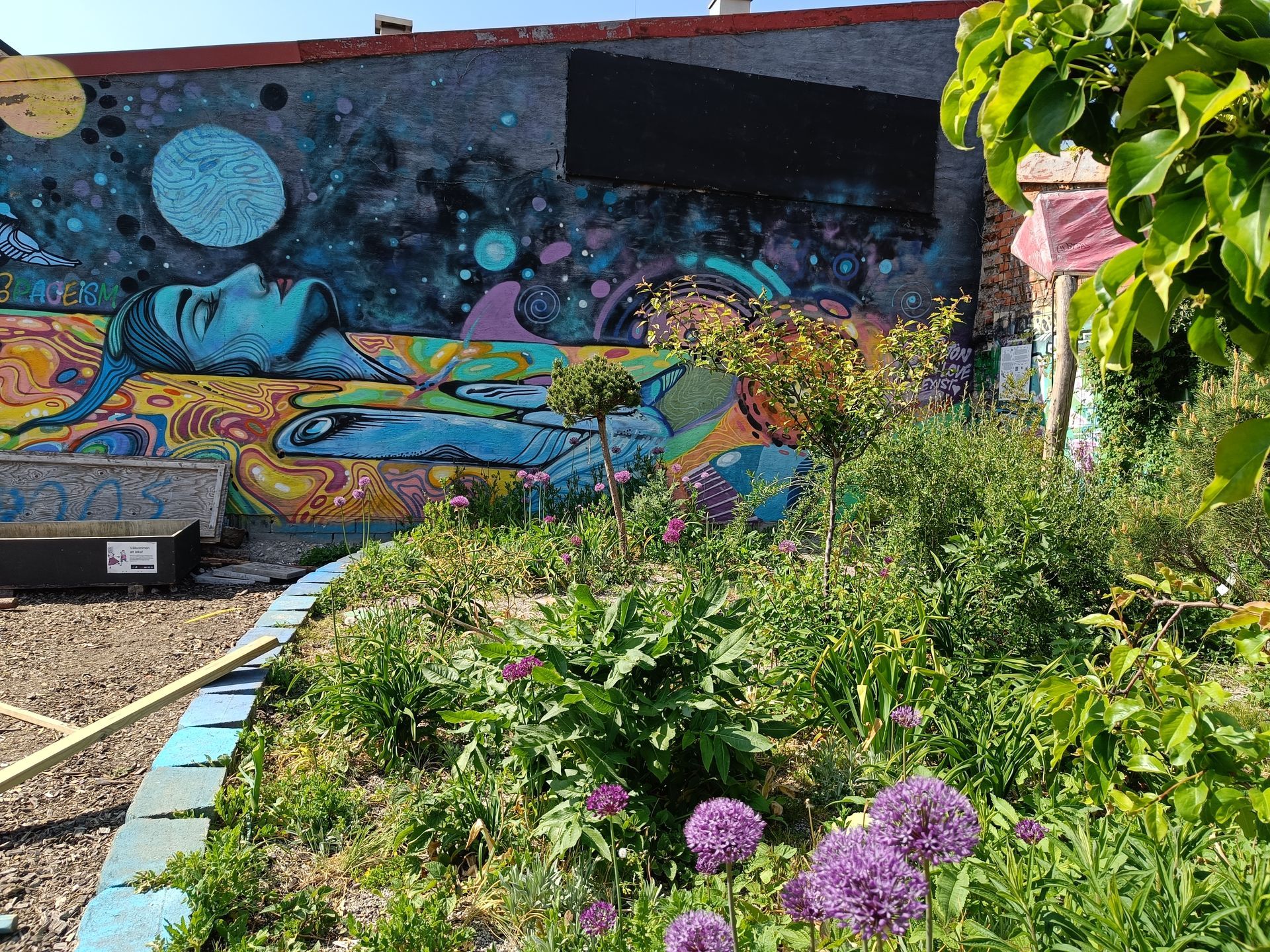 Trädgård på en rivningstomt i Malmö, kallad 'Naturmolnet'. I bakgrunden syns en muralmålning av Dan Sapunar och hans mamma.