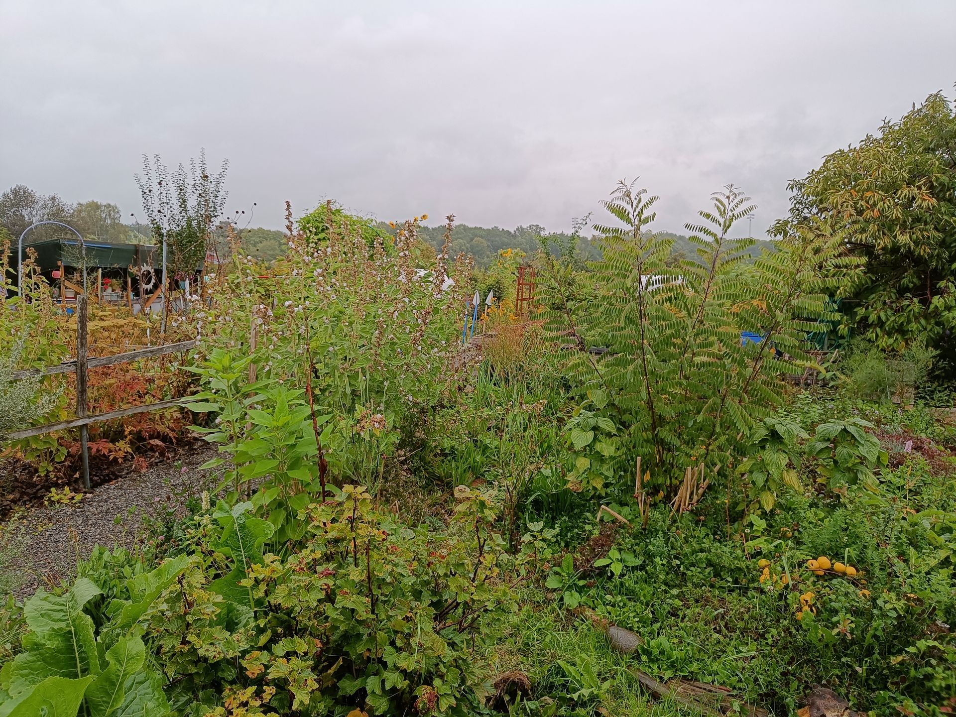 målad Cottage Garden