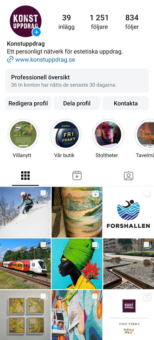 skärmdump av vår sida på Instagram