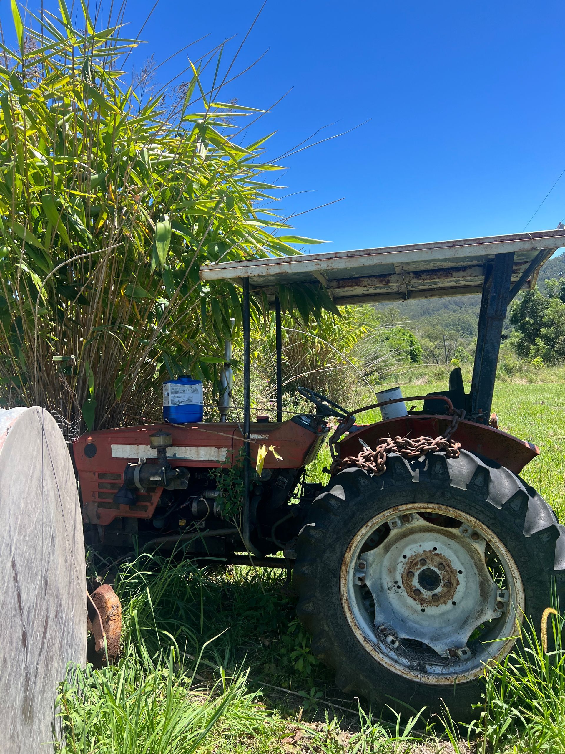 Red Tractor Overgrown With Vegetation, Parked in a Grassy Field on a Sunny Day — North Coast Heavy Diesel In Taree, NSW