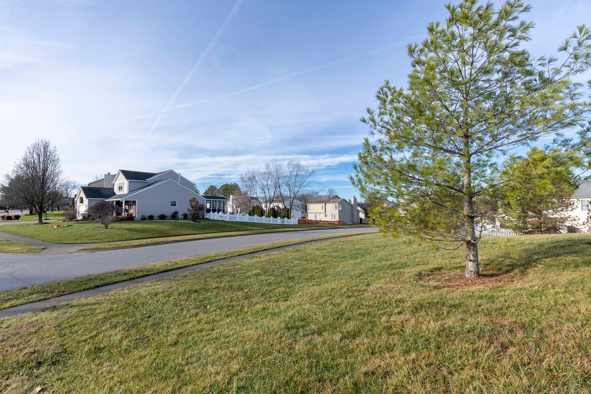 a residential area with a lot of grass and trees and a house in the background .