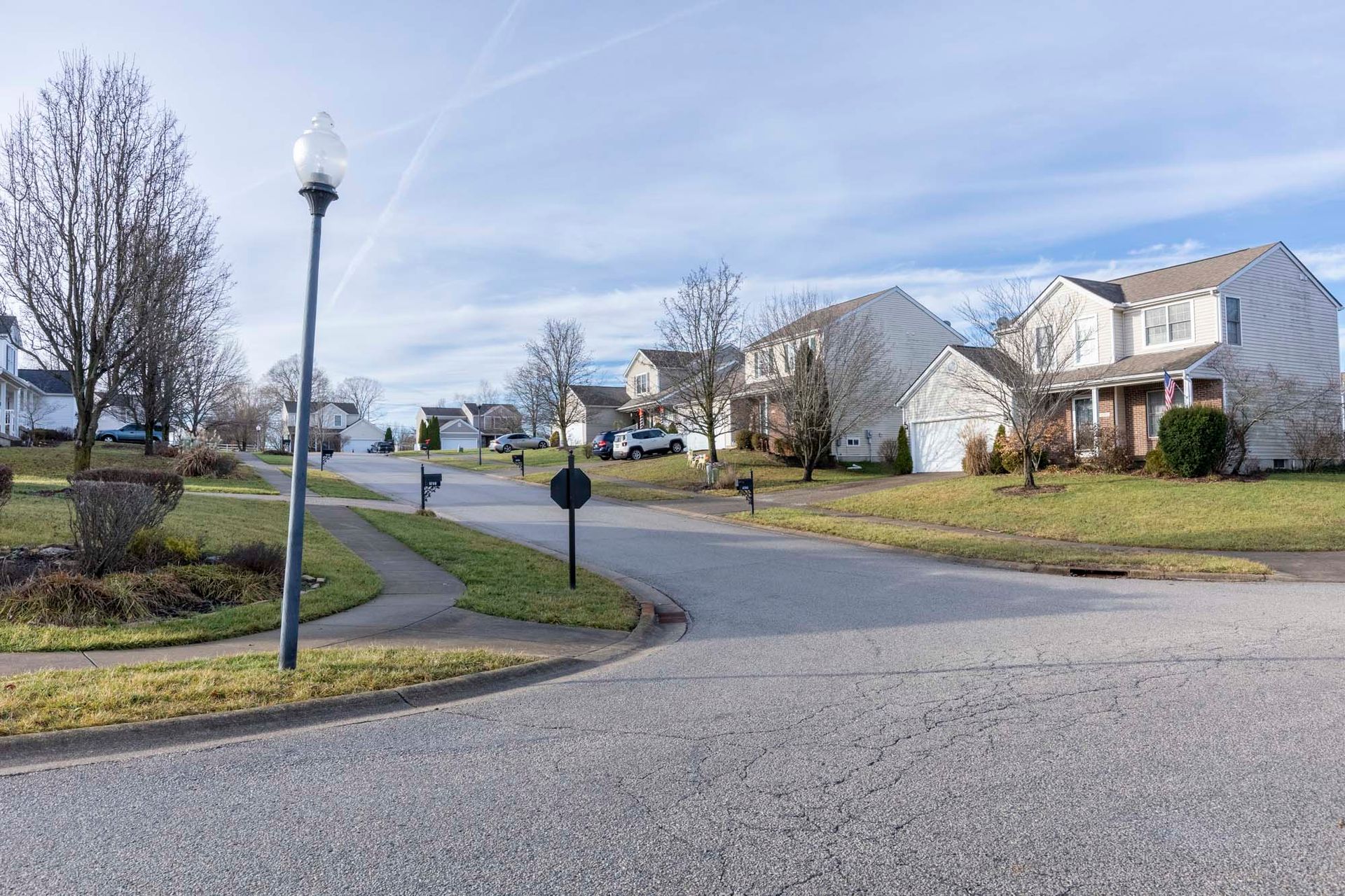 a residential neighborhood with houses and a street light .