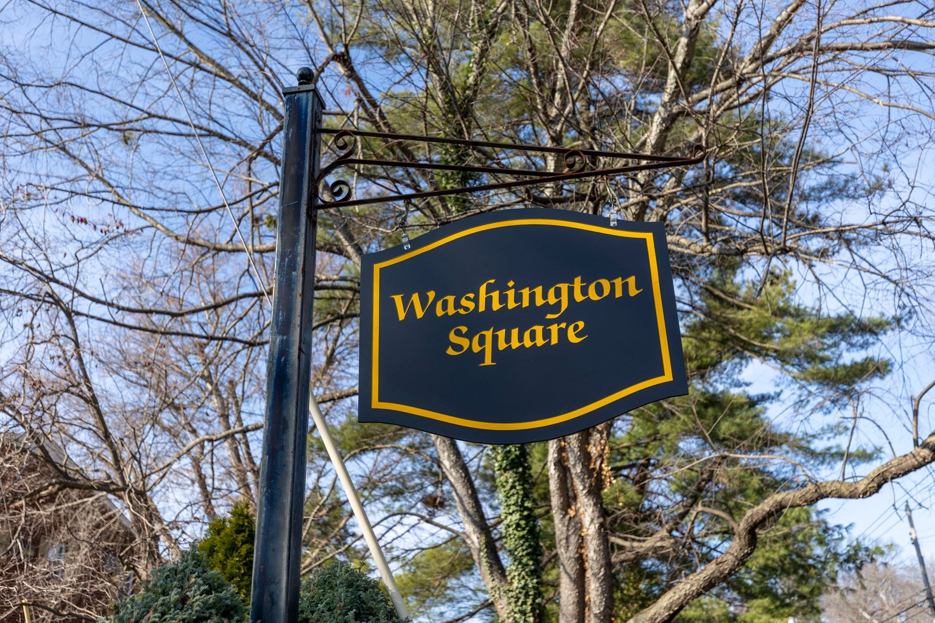 A sign for washington square is hanging from a pole in front of trees.