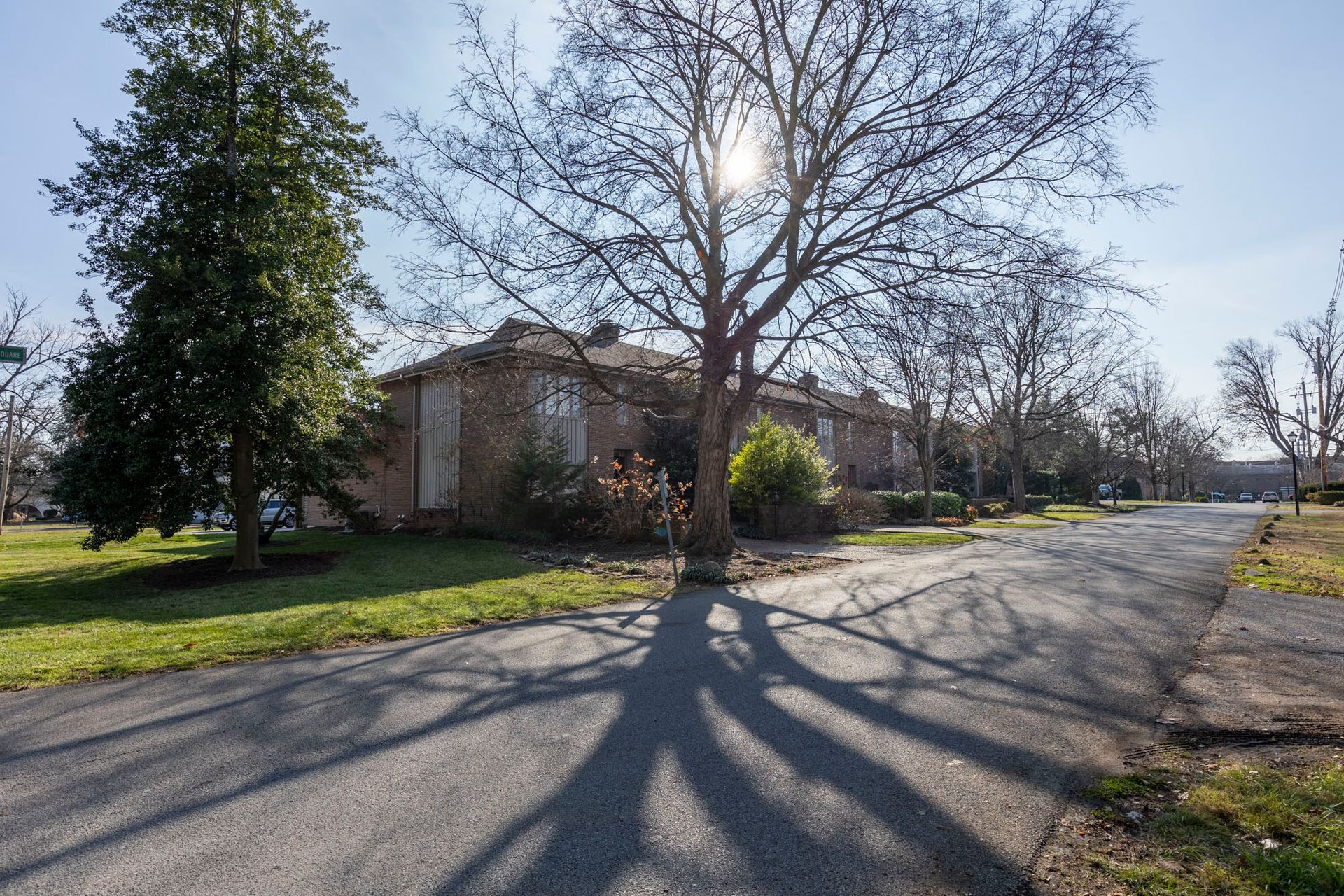 A tree is casting a shadow on the road in front of a house.