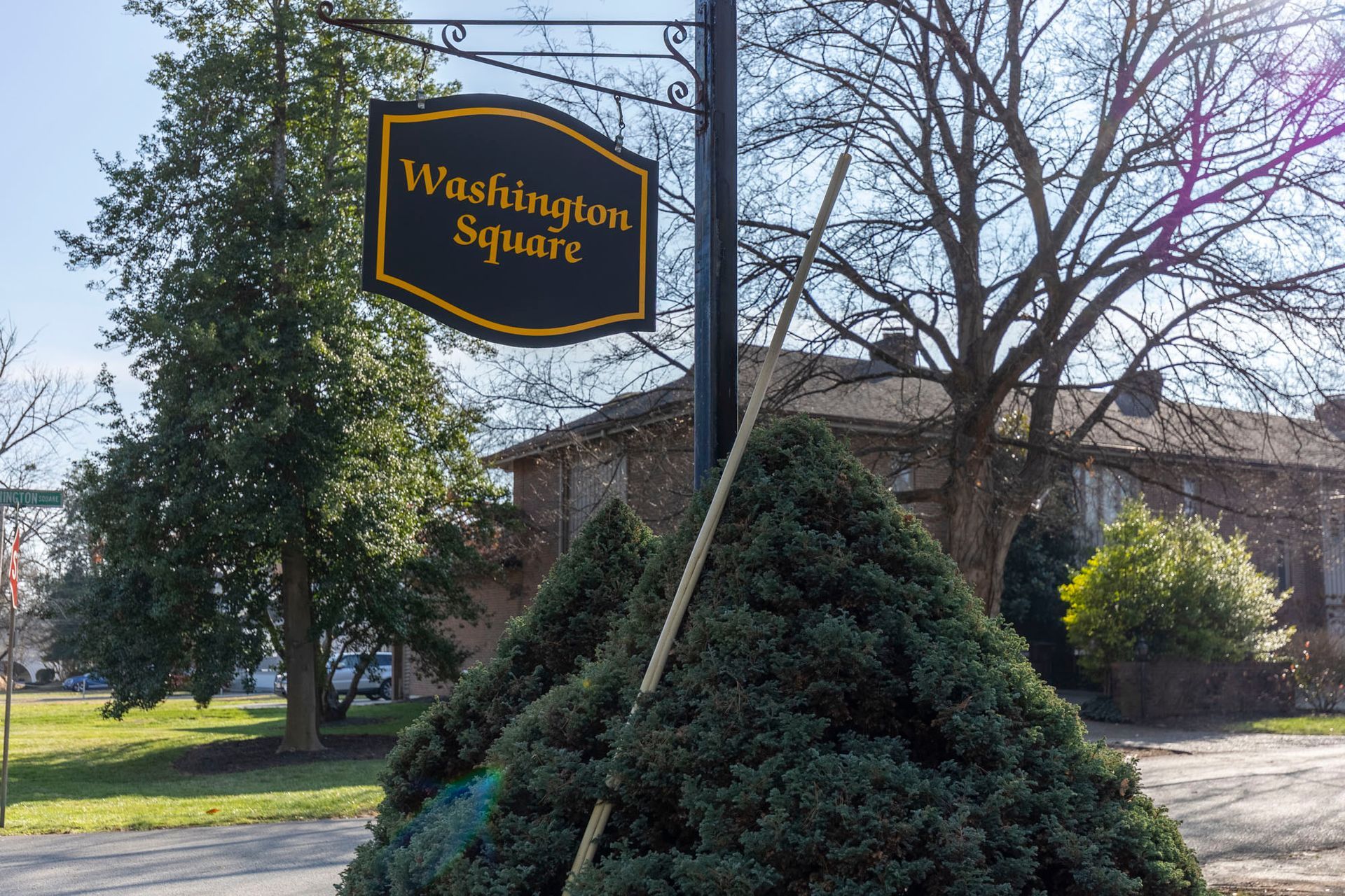 A sign for washington square is above a pile of christmas trees