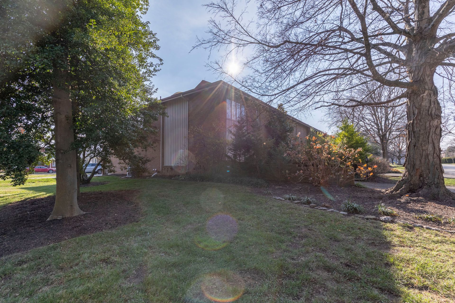 The sun is shining through the trees in front of a house.