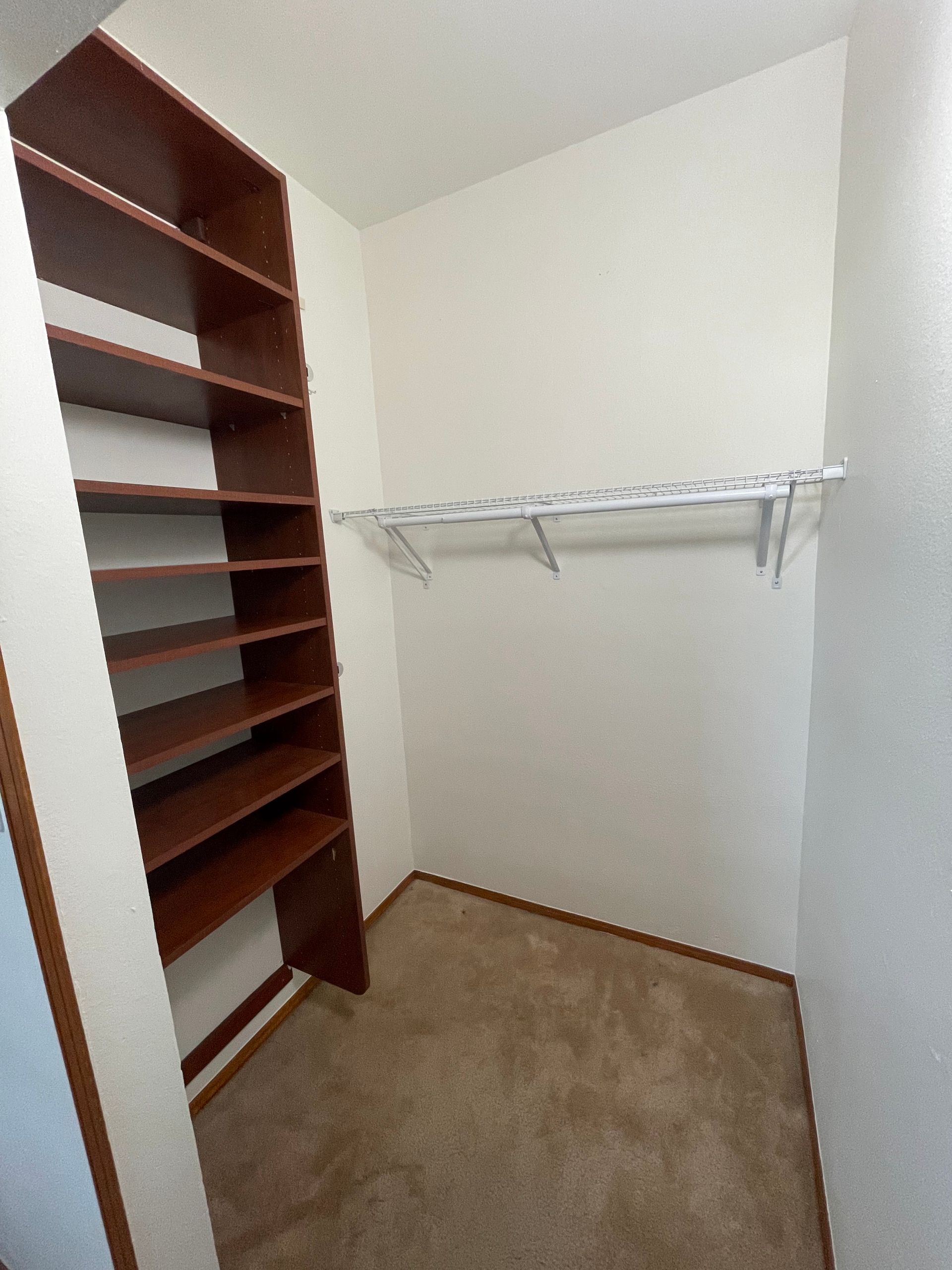 Small walk-in closet with white walls, beige carpet, and built-in shelves and hanging rod.