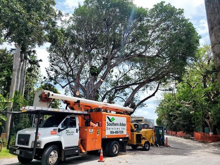A tree trimming truck with an extended arm, near a large tree being trimmed. Orange truck, green trees.