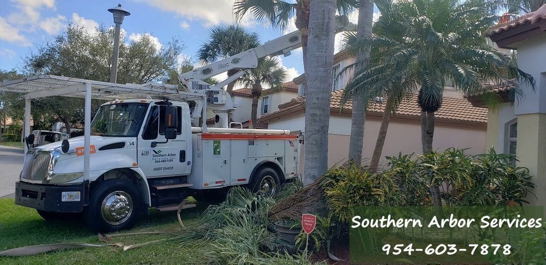 White tree service truck near palm trees, cutting the branches, and a house in the background.