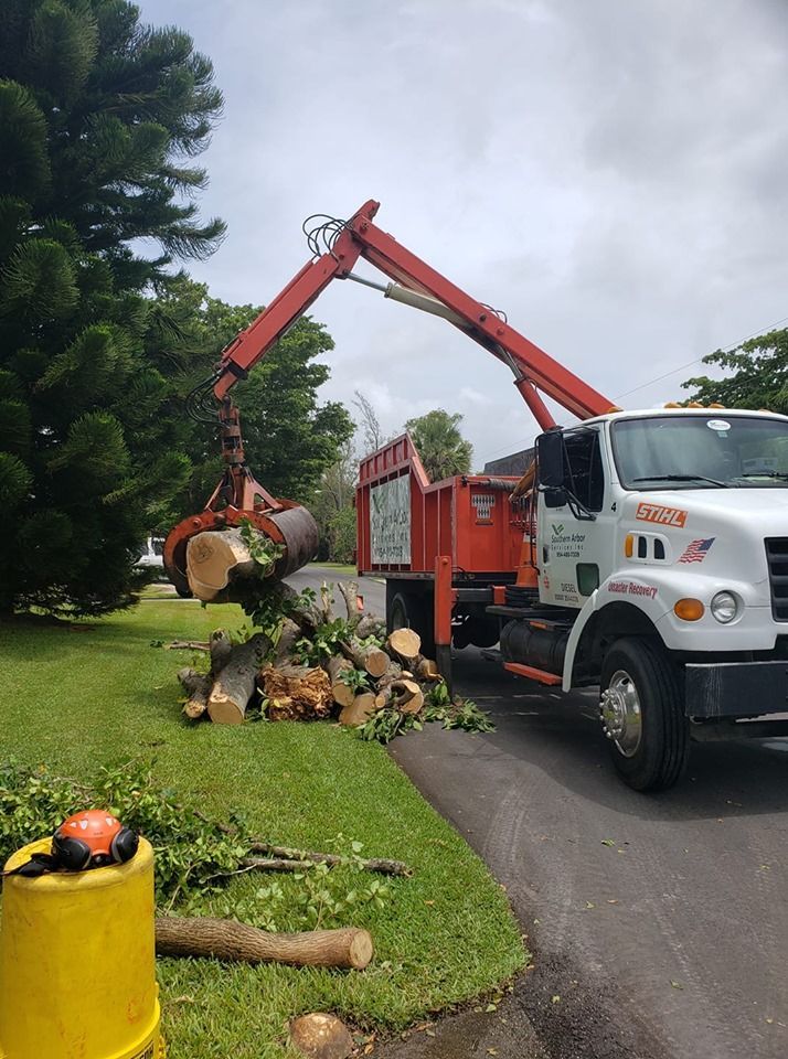 Orange truck with a crane loading tree branches onto the bed in a yard.