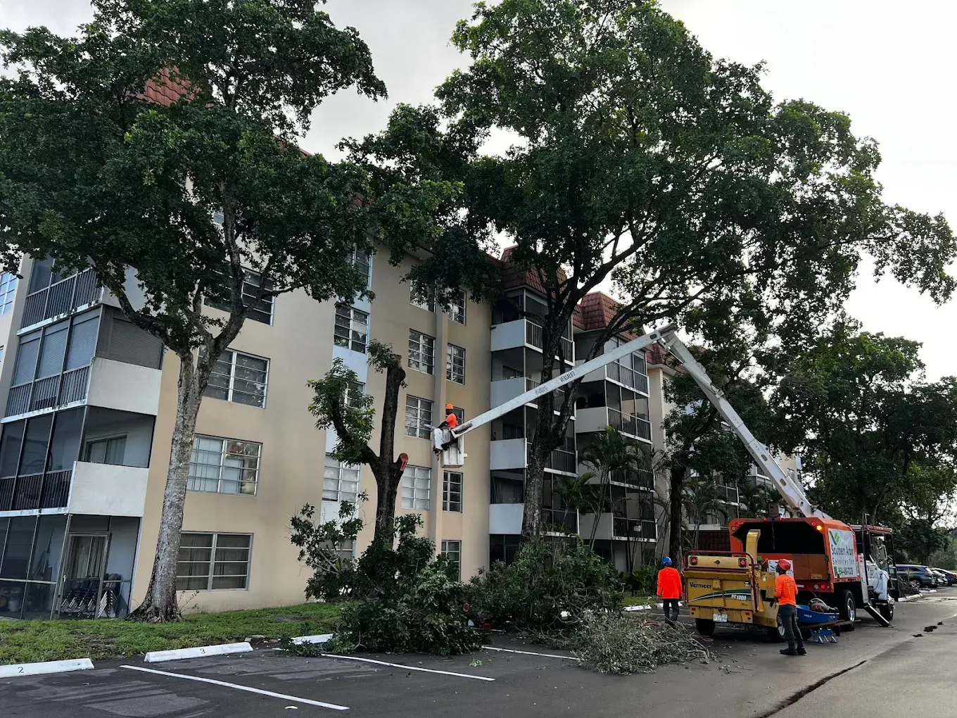 Tree trimming in progress near a multi-story apartment building; a truck with a boom is trimming the tree.
