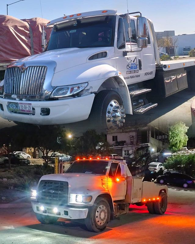 GRUAS VEGA