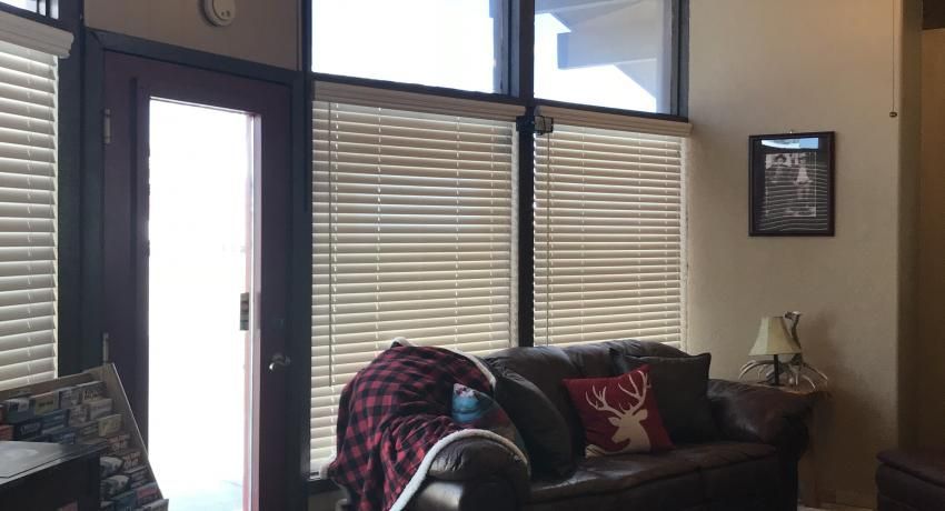 A living room with a dark leather sofa featuring a red plaid throw blanket and a deer-themed pillow, beside a glass door.