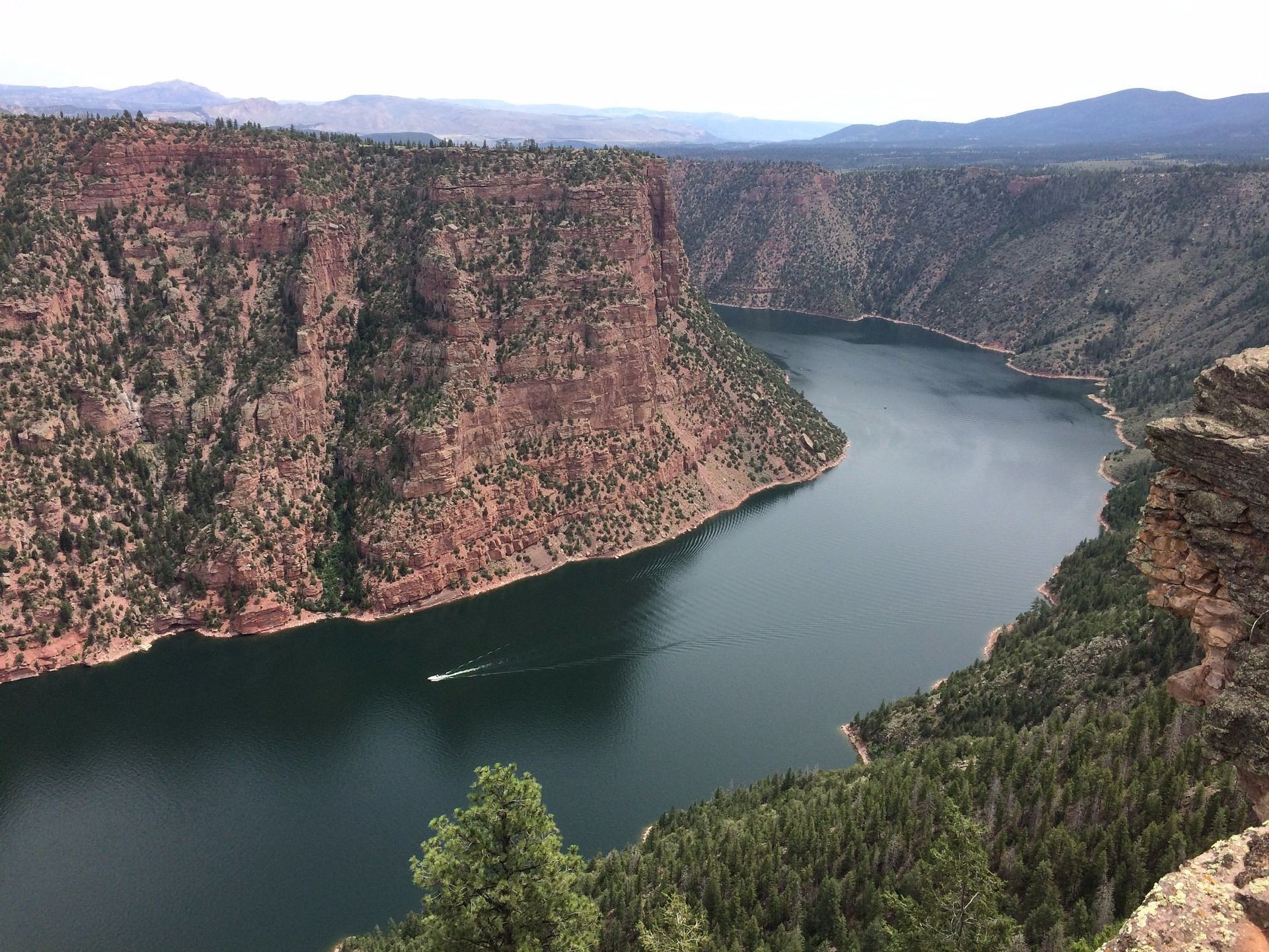 A boat travels along a dark river winding through a deep, steep-walled canyon with reddish-brown rock and evergreen trees.