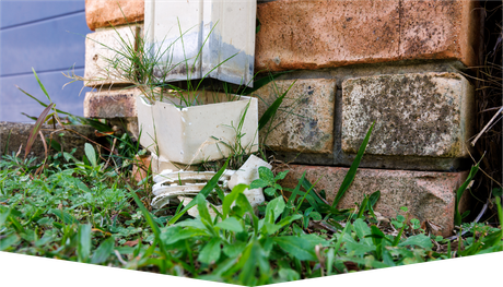 A gutter on the side of a brick building with grass growing out of it.