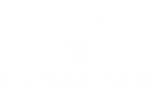 A logo for dls allied health with two hands shaking each other.