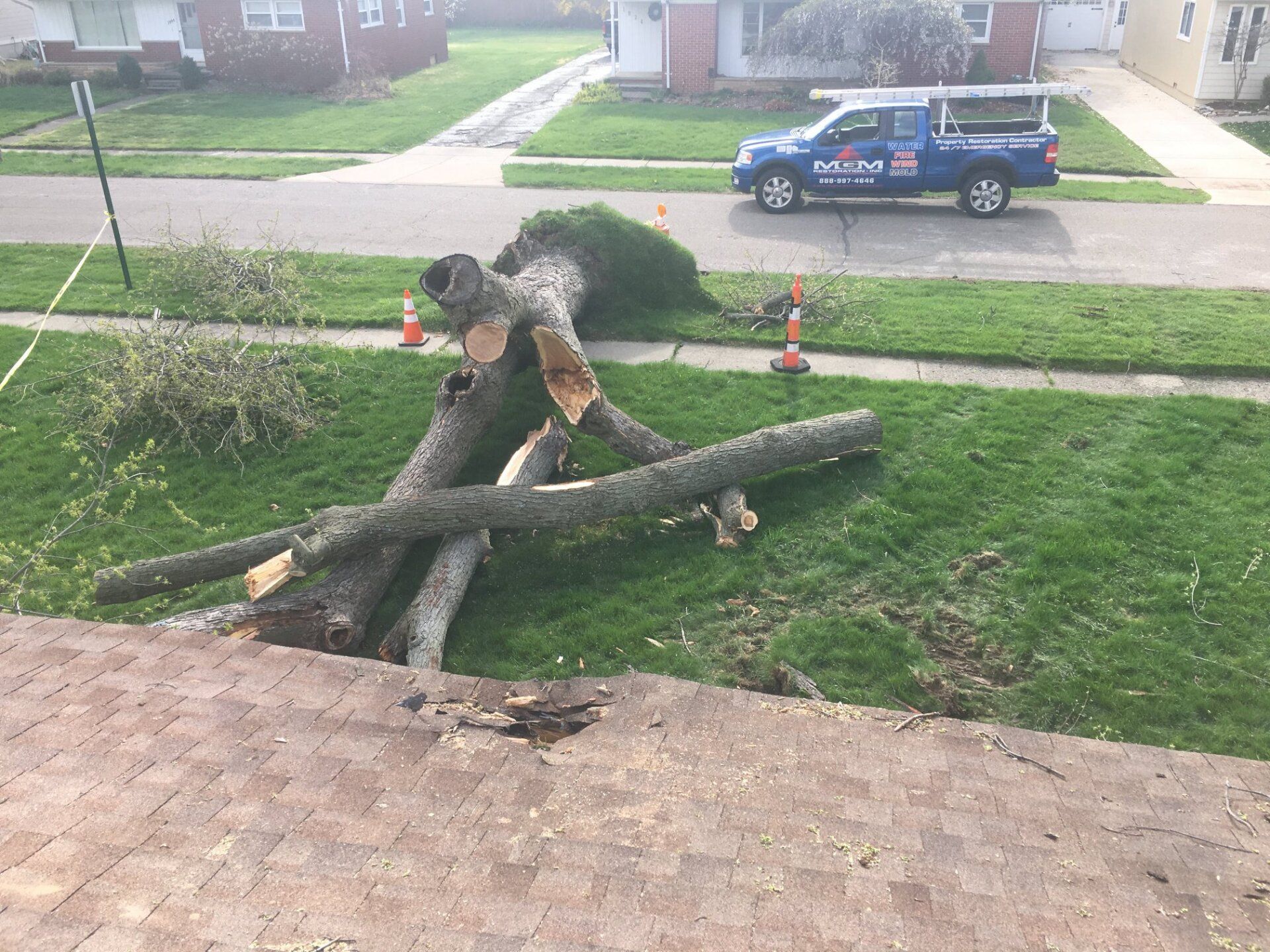 A blue truck is parked in front of a fallen tree