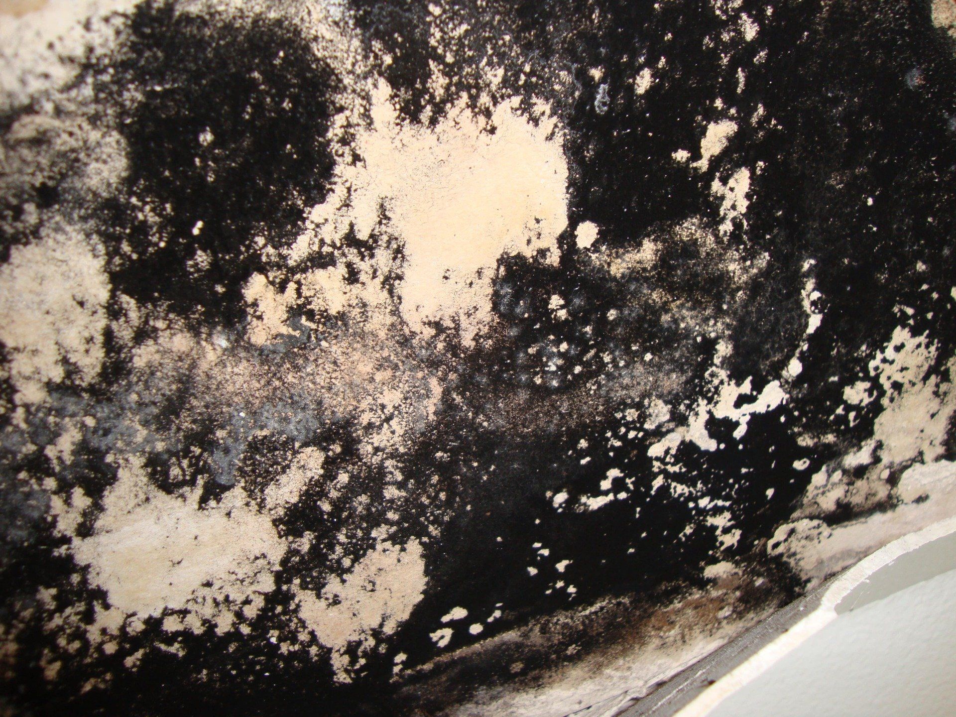 A close up of a wall with a lot of black and white spots