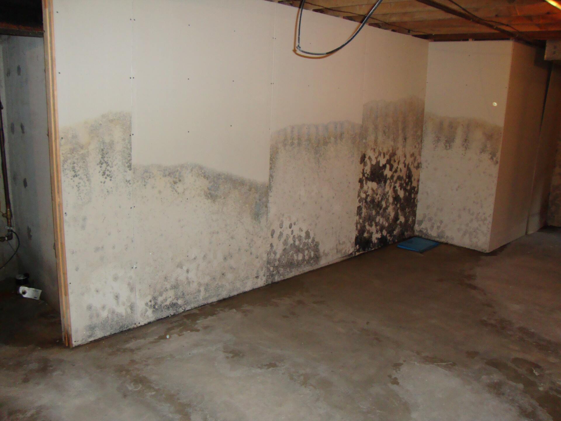 A basement with a dirty wall and a concrete floor.