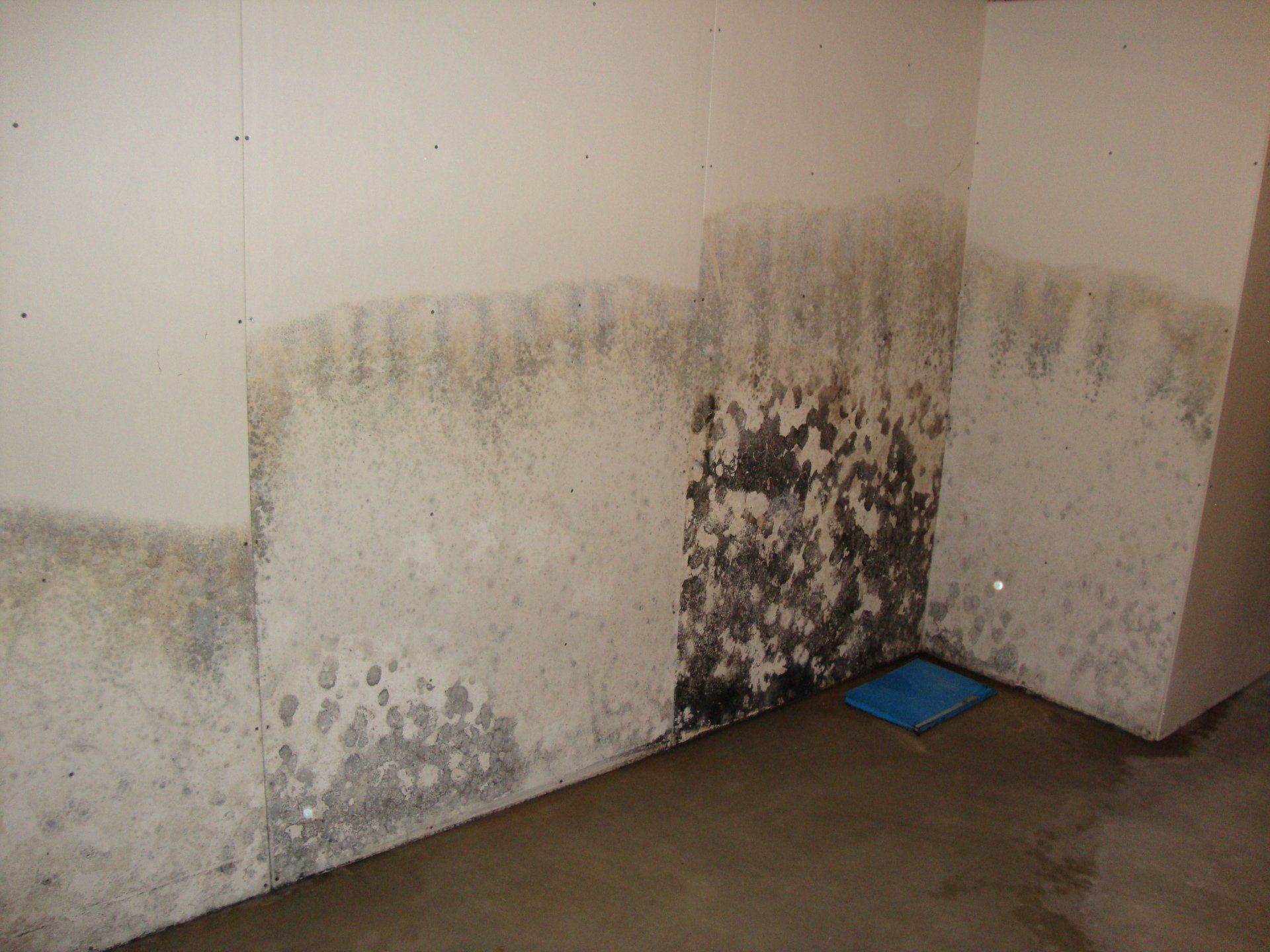A room with a lot of mold on the walls and a blue mat on the floor.