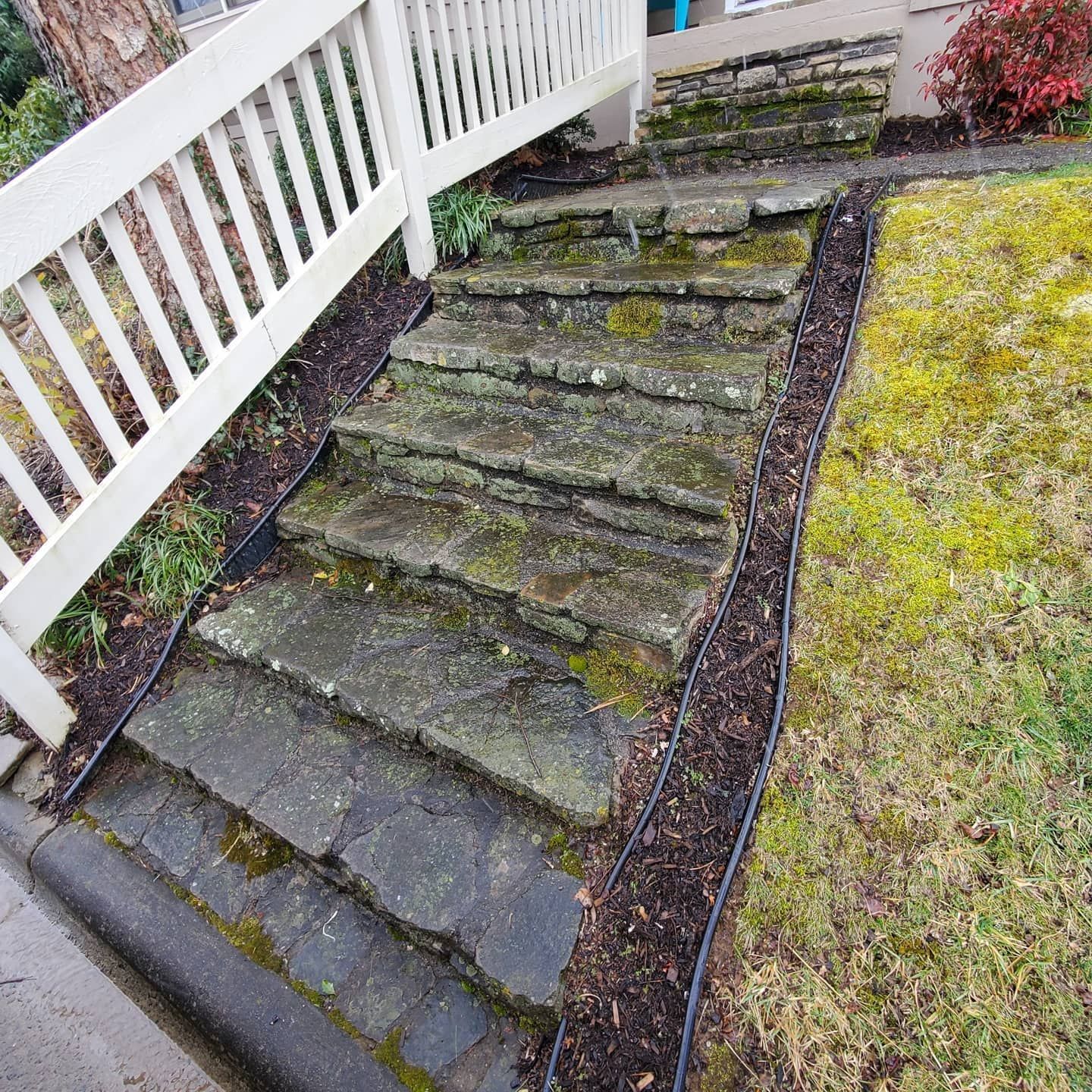 Stone steps leading up to a house entrance, with a white railing to the left and mulch along the sides.