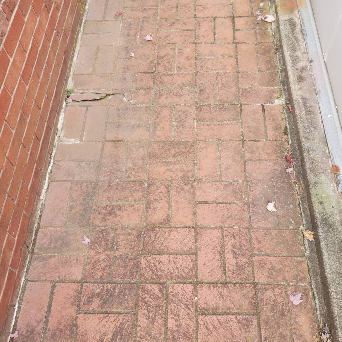 Brick pathway next to a brick wall and building.