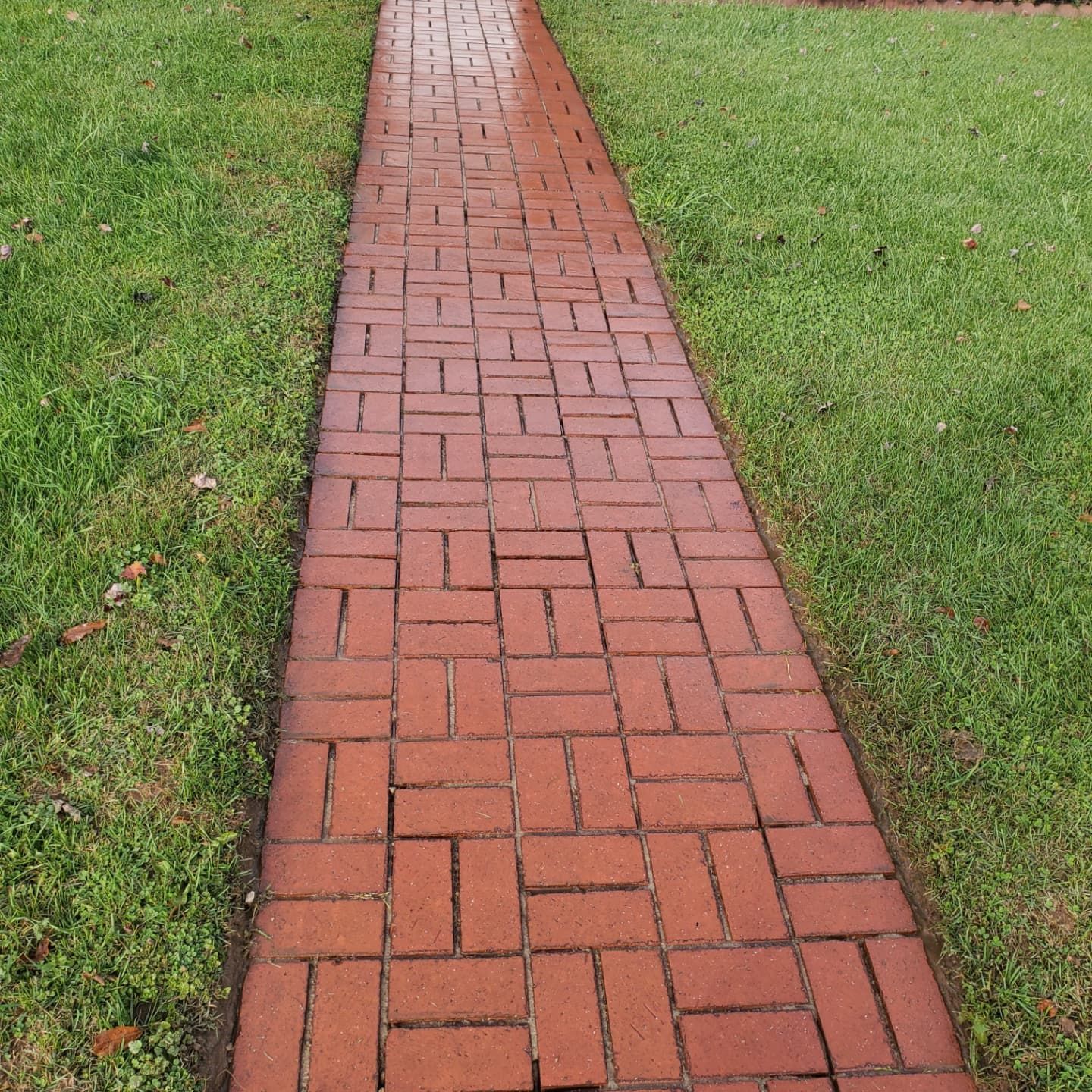 Red brick pathway through green grass.