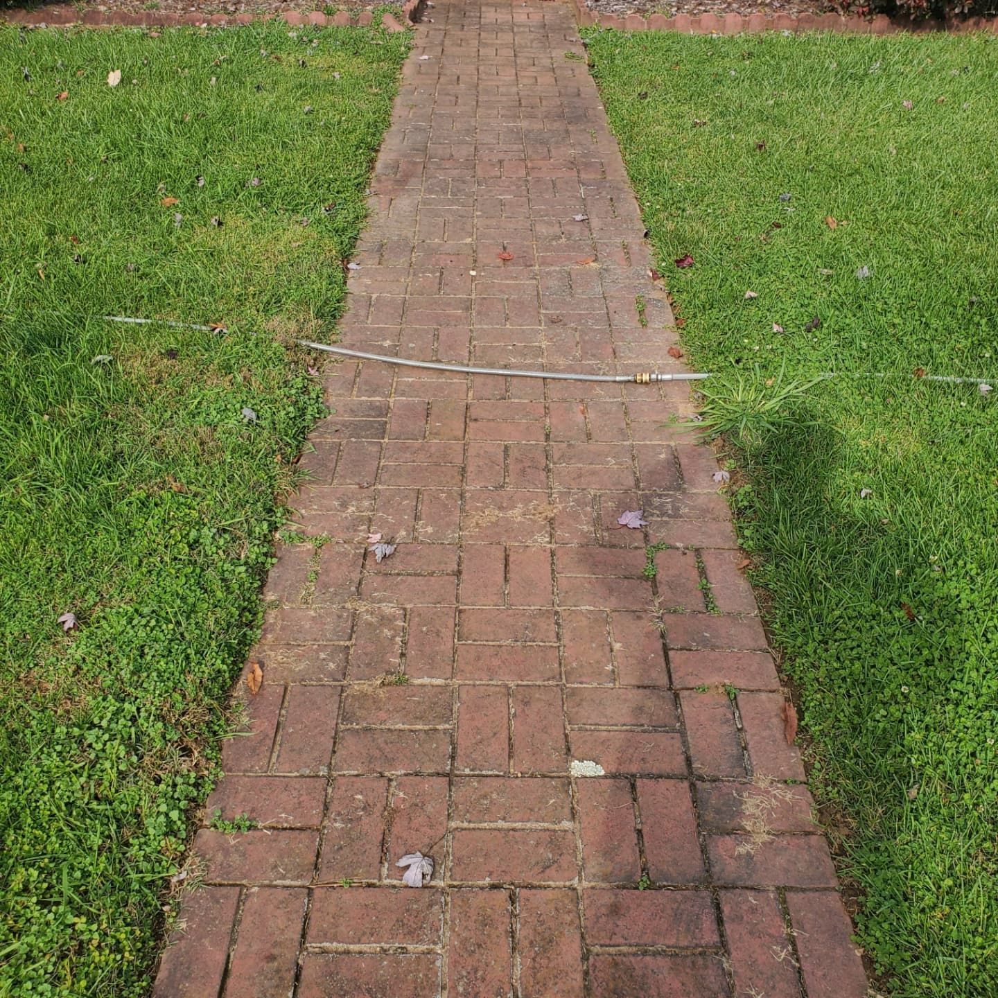 Brick pathway through green grass.