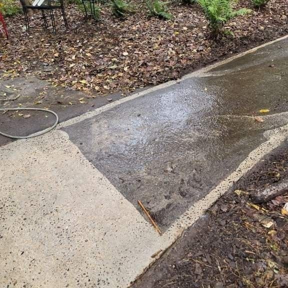 Wet concrete path with leaf-covered edges and a garden setting.