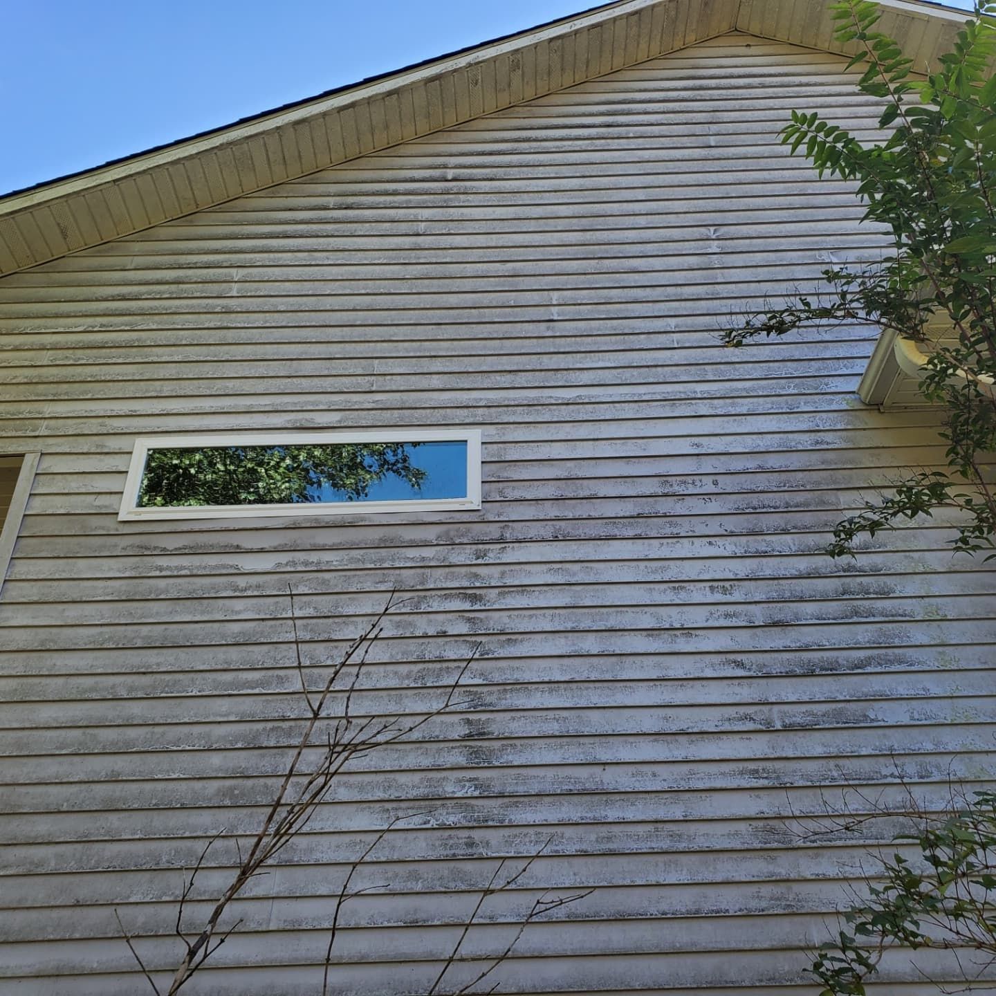 Weathered, horizontal wood siding on a house with a rectangular window. A tree is to the right.