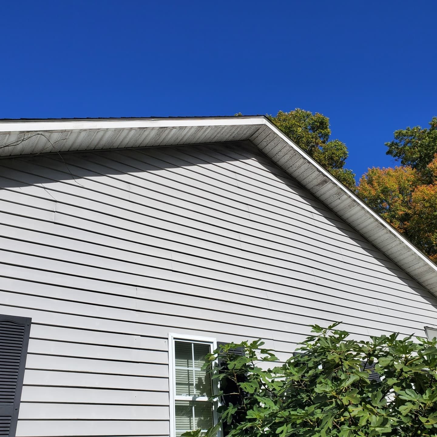 Gray siding on a house under a clear blue sky, with some green and fall foliage visible.