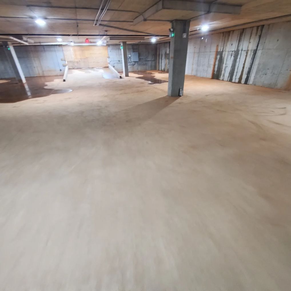 Empty concrete basement with unfinished walls and floor, overhead pipes, and fluorescent lights.