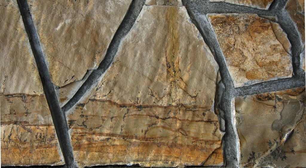 random stone - fern dendrite