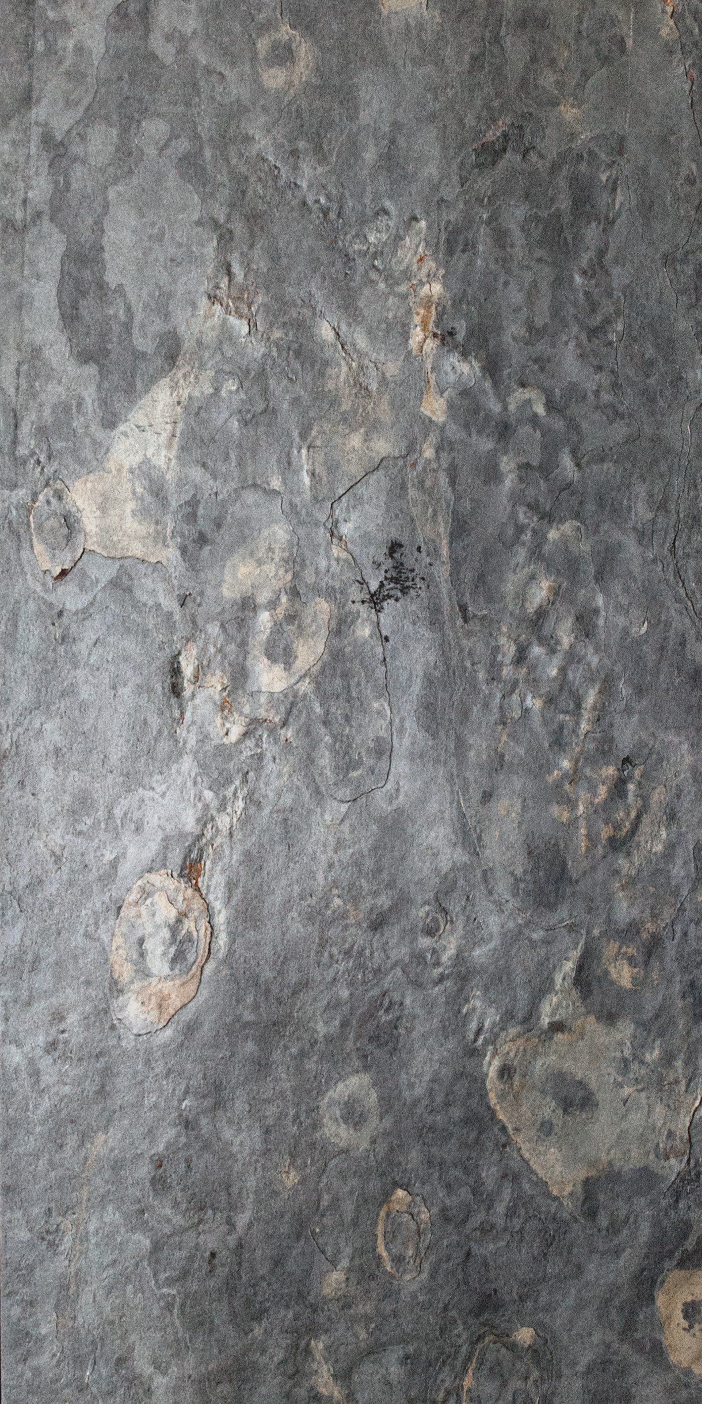 Thin stone veneer - Grey Beauty