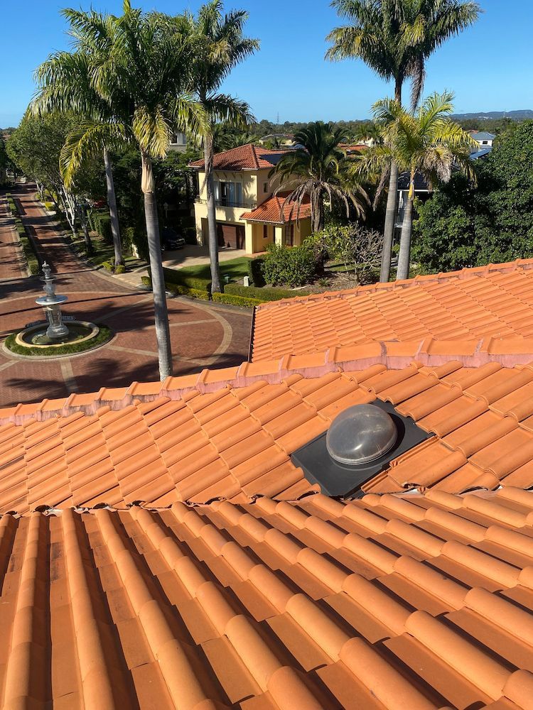 A Roof With a Skylight on It and Palm Trees in the Background — Killiby & Co Roofing Pty Ltd In Palm Beach, NSW