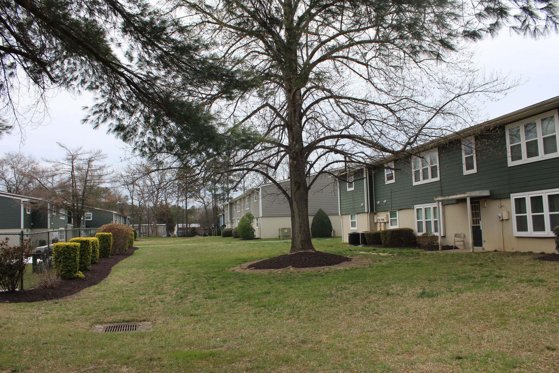cedarwood manor building and trees