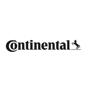 Continental icon
