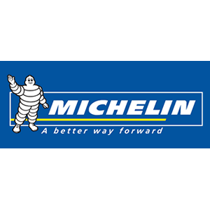 Michelin- A Better Way Forward icon