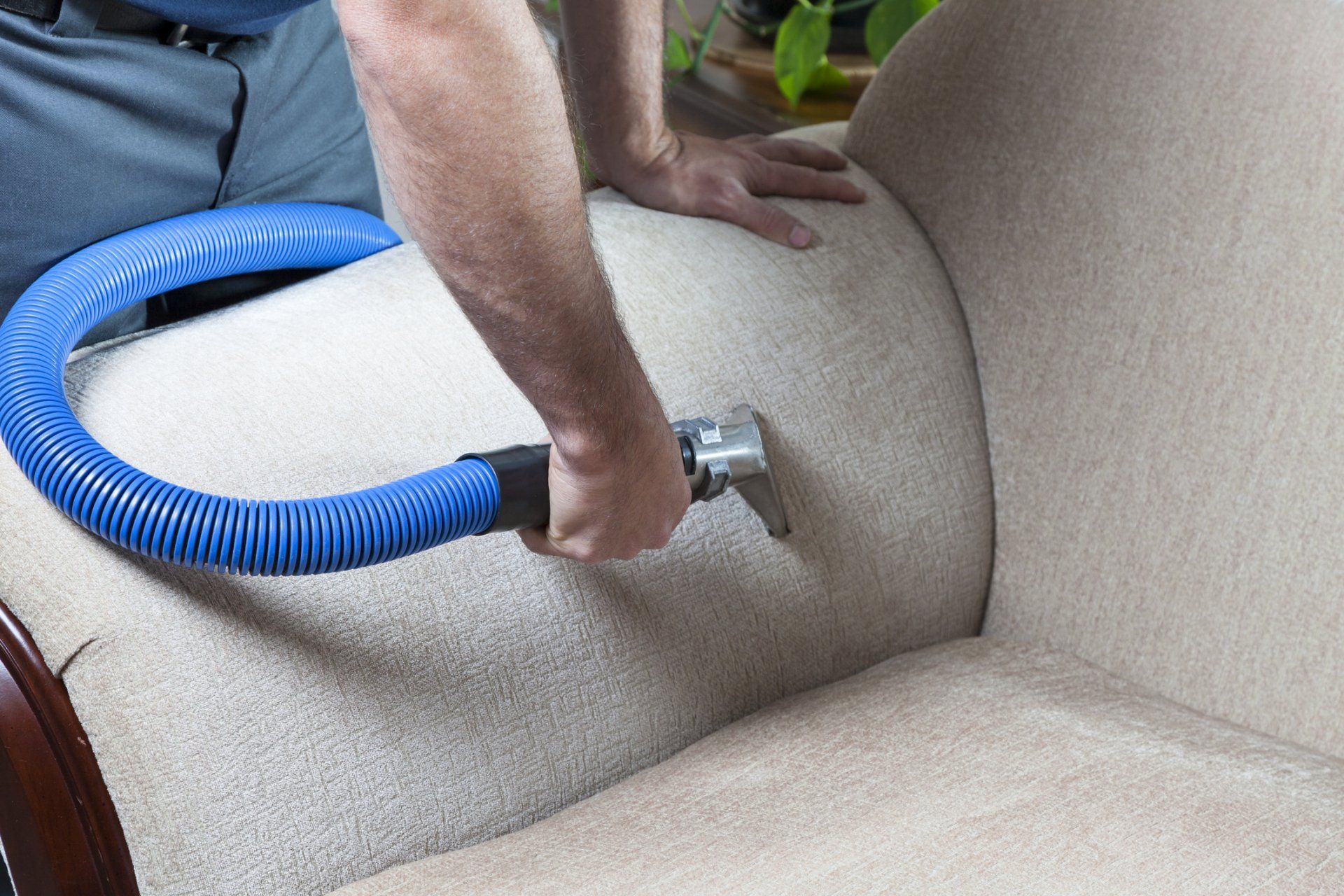 Person cleaning a light-colored sofa with a blue hose and cleaning attachment.