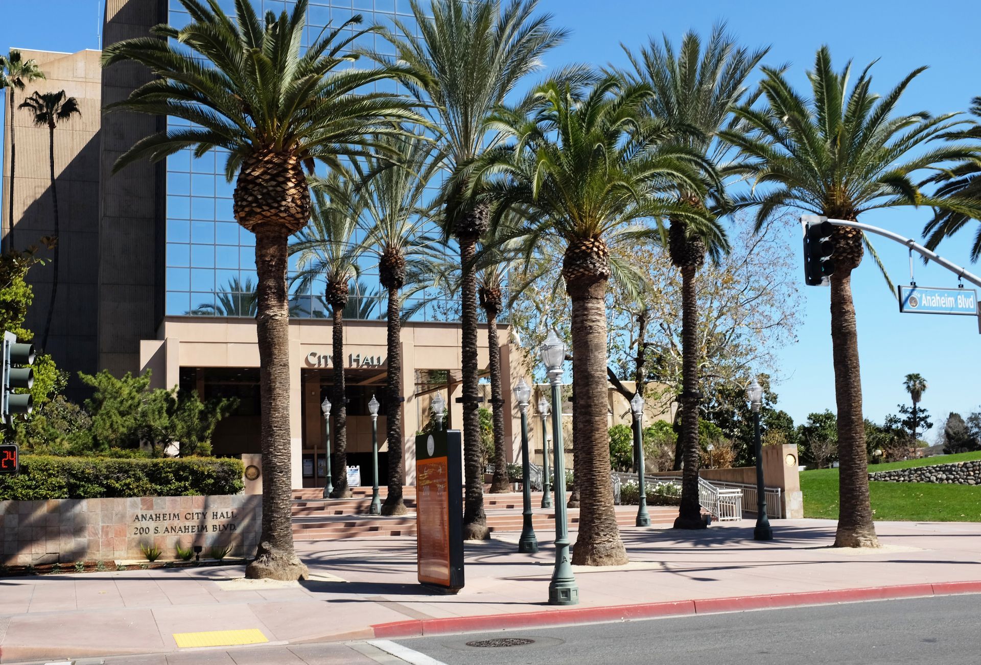 A row of palm trees are lined up in front of a building
