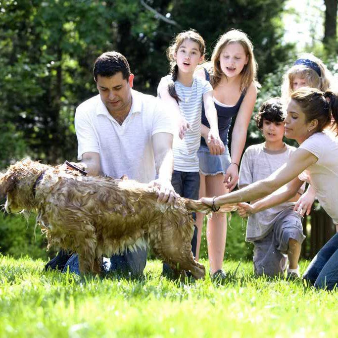 Pianificazione patrimoniale delle famiglie