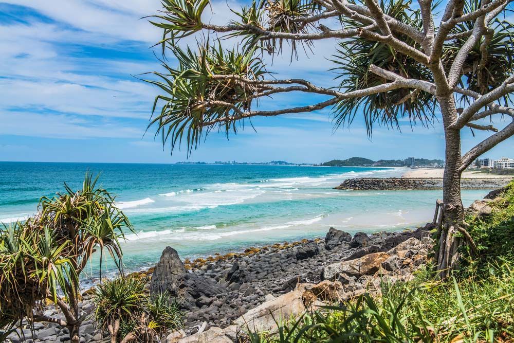 A View of the Ocean From a Rocky Beach With a Tree in the Foreground — Mick Sawtell Electrical Pty Ltd in Burleigh Heads, QLD